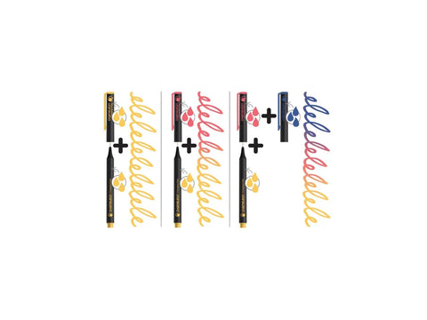 CHAMELEON Fineliner Set 0.3mm FL0601 6 Farben Primary Kugelschreiber Papedis