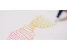 CHAMELEON Fineliner Set 0.3mm FL0604 6 Farben Cool Kugelschreiber Papedis