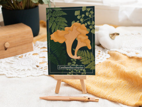 Postkarten Pilze Postkarten Kreativ Werkstatt 24