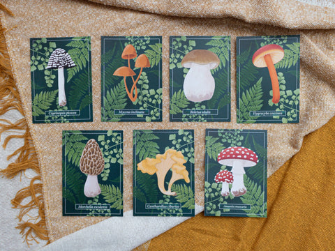 Postkarten Pilze Postkarten Kreativ Werkstatt 24