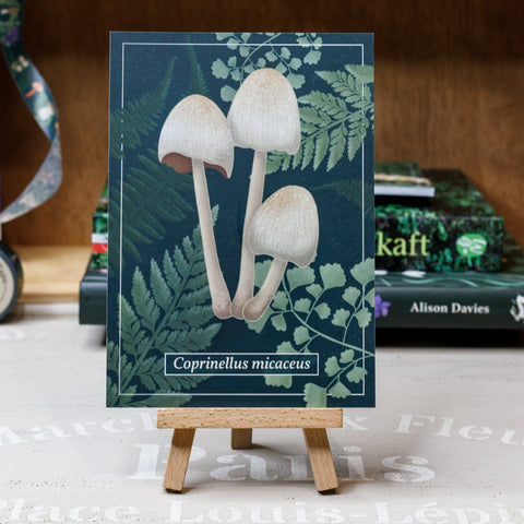 Postkarten Pilze Postkarten Kreativ Werkstatt 24 Gemeiner Glimmertintling