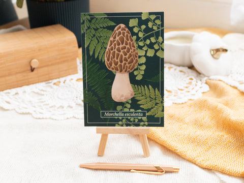 Postkarten Pilze Postkarten Kreativ Werkstatt 24