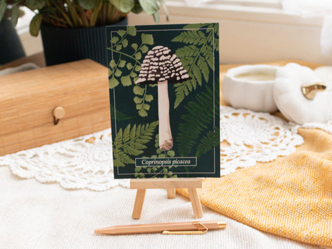 Postkarten Pilze Postkarten Kreativ Werkstatt 24