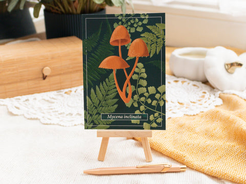 Postkarten Pilze Postkarten Kreativ Werkstatt 24