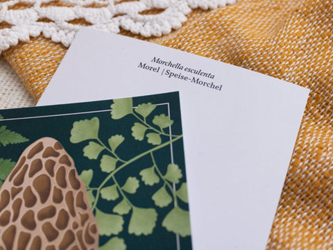 Postkarten Pilze Postkarten Kreativ Werkstatt 24