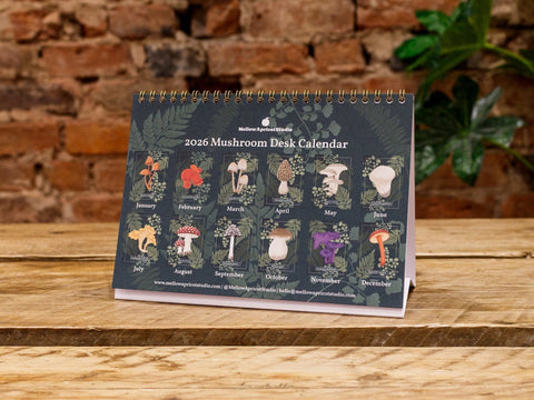 Tischkalender 2026 – Pilze aus unseren Wäldern Notizbuch Kreativ Werkstatt 24