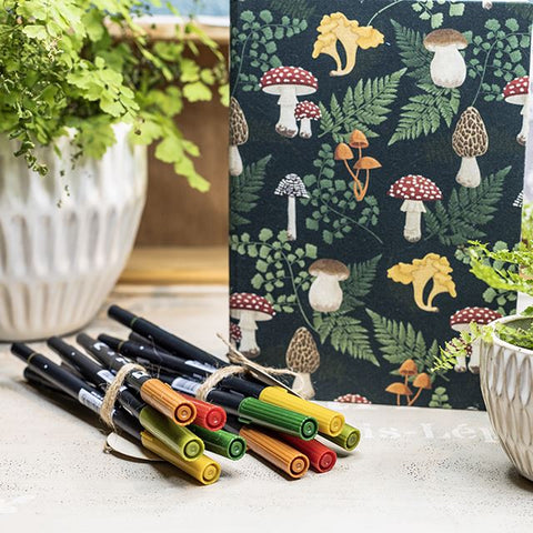 TOMBOW Dual Brush Pen ABT | Farben passend zur Kollektion Pilze Kugelschreiber Papedis