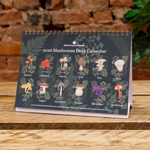 Wandkalender 2026 – Pilze aus unseren Wäldern Notizbuch Kreativ Werkstatt 24