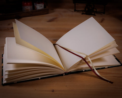 Notizbuch - Pilze