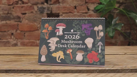 Tischkalender 2026 – Pilze aus unseren Wäldern