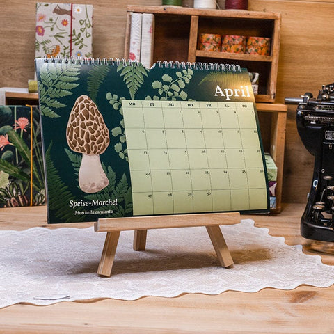 Wandkalender 2026 – Pilze aus unseren Wäldern Notizbuch Kreativ Werkstatt 24 