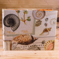 Zeichenmappe mit Klemme 23x17 cm - Muscheln Notizblock Kreativ Werkstatt 24 
